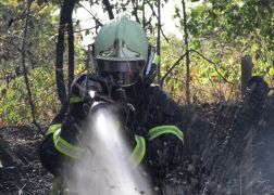 Brand Pennickental Jena 00022